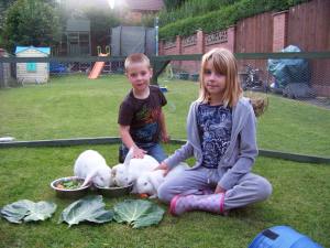 12092734_1661408797472592_1124445483_n